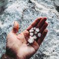 Hand holding grains of salt with more grains of salt all around below the hand